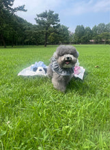 画像をギャラリービューアに読み込む, 【ohdibs / 予約】capeness no.4(ケープネス)