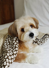 画像をギャラリービューアに読み込む, 【ohdibs / 予約】Grandma Blanket_brown