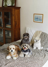 画像をギャラリービューアに読み込む, 【ohdibs / 予約】Grandma Blanket_brown