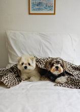 画像をギャラリービューアに読み込む, 【ohdibs / 予約】Grandma Blanket_brown