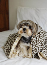 画像をギャラリービューアに読み込む, 【ohdibs / 予約】Grandma Blanket_brown