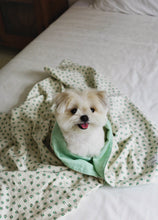 画像をギャラリービューアに読み込む, 【ohdibs / 予約】Grandma Blanket _ green