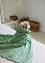 画像をギャラリービューアに読み込む, 【ohdibs / 予約】Grandma Blanket _ green