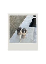 画像をギャラリービューアに読み込む, 【ohdibs / 予約】capeness no.13 leash _ Cream Dot