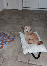 画像をギャラリービューアに読み込む, 【ohdibs / 予約】Homey Warmy Topper - Full Layer Set(5color)