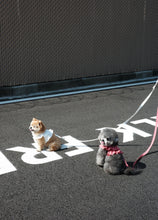 画像をギャラリービューアに読み込む, 【ohdibs / 予約】capeness no.18 _ White(ケープネス)