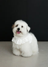 画像をギャラリービューアに読み込む, 【ohdibs / 予約】capeness no.18 _ White(ケープネス)