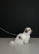 画像をギャラリービューアに読み込む, 【ohdibs / 予約】capeness no.18 _ White(ケープネス)