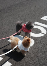 画像をギャラリービューアに読み込む, 【ohdibs / 予約】capeness no.18 _ White(ケープネス)