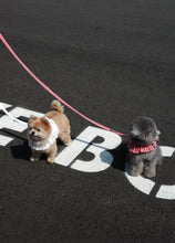 画像をギャラリービューアに読み込む, 【ohdibs / 予約】capeness no.18 _ White(ケープネス)