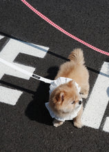 画像をギャラリービューアに読み込む, 【ohdibs / 予約】capeness no.18 _ White(ケープネス)