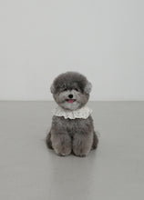 画像をギャラリービューアに読み込む, 【ohdibs / 即納】 CAPENESS NO.20 _ MINI DOT(ケープネス)