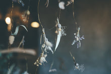 画像をギャラリービューアに読み込む, ドライフラワーモビール