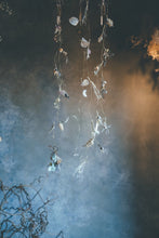 画像をギャラリービューアに読み込む, ドライフラワーモビール