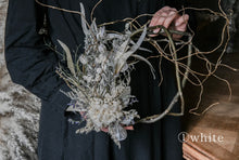画像をギャラリービューアに読み込む, 雲竜柳のボタニカルリース