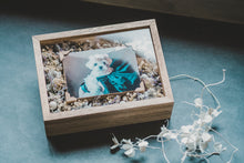 画像をギャラリービューアに読み込む, わんこのmemorial flower photo box