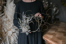 画像をギャラリービューアに読み込む, 雲竜柳のボタニカルリース