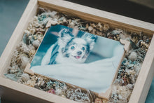 画像をギャラリービューアに読み込む, わんこのmemorial flower photo box
