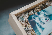 画像をギャラリービューアに読み込む, わんこのmemorial flower photo box