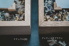 画像をギャラリービューアに読み込む, わんこのmemorial flower photo box