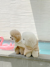 画像をギャラリービューアに読み込む, 【eyou / 予約】テリーローブガウン
