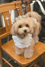 画像をギャラリービューアに読み込む, 《受注販売》monmoのわんこの花かんむり
