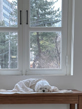 画像をギャラリービューアに読み込む, 【eyou / 予約】ベルベティブランケット
