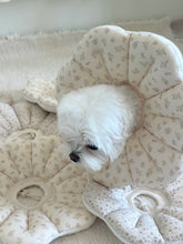 画像をギャラリービューアに読み込む, 【eyou / 予約】ピアナネックカラー - Soft blossom
