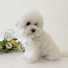 画像をギャラリービューアに読み込む, 【eyou / 予約】White day cape（flower）
