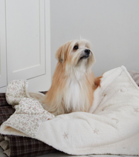 画像をギャラリービューアに読み込む, 【azalea / 予約】ふわふわブランケット（ドット / フラワー）
