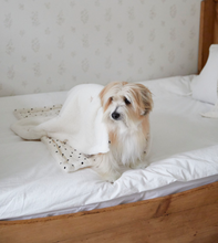 画像をギャラリービューアに読み込む, 【azalea / 予約】ふわふわブランケット（ドット / フラワー）
