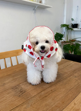 画像をギャラリービューアに読み込む, 【azalea / 予約】strawberry scarf
