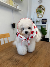 画像をギャラリービューアに読み込む, 【azalea / 予約】strawberry scarf
