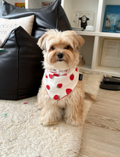 画像をギャラリービューアに読み込む, 【azalea / 予約】strawberry scarf
