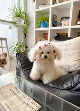 画像をギャラリービューアに読み込む, 【azalea / 予約】strawberry scarf
