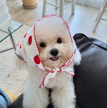 画像をギャラリービューアに読み込む, 【azalea / 予約】strawberry scarf
