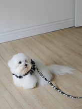 画像をギャラリービューアに読み込む, 【ohdibs / 予約】capeness no.12 leash _ Black check（リード）
