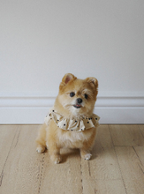 画像をギャラリービューアに読み込む, 【ohdibs / 即納】capeness no.13 leash _ Cream Dot（リード）
