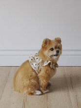 画像をギャラリービューアに読み込む, 【ohdibs / 即納】capeness no.13 leash _ Cream Dot（リード）
