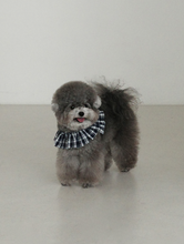 画像をギャラリービューアに読み込む, 【ohdibs / 予約】capeness no.16 _ Navy check（ケープネス）
