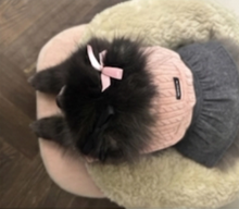 画像をギャラリービューアに読み込む, 【boocce / 予約】MILKY RIBBON HAIR PIN(Pink)
