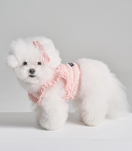 画像をギャラリービューアに読み込む, 【boocce / 予約】LACE RUFFLE TOP（Pink）
