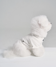 画像をギャラリービューアに読み込む, 【boocce / 予約】 SOFT LACE TOP（Ivory）
