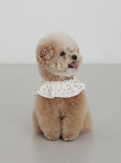 OHDIBS capeness no.20 _ MINI DOT リードセット 即納ページ【OHDIBS