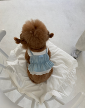 画像をギャラリービューアに読み込む, 【ah taeri pet / 予約】ボニービスティエポイントトップbonny top（ライトブルー）
