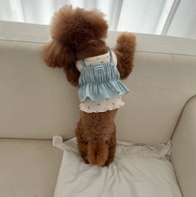 画像をギャラリービューアに読み込む, 【ah taeri pet / 予約】ボニービスティエポイントトップbonny top（ライトブルー）
