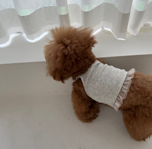画像をギャラリービューアに読み込む, 【ah taeri pet / 予約】ミニレース テンセル ソフトクロップドトップス（グレー）

