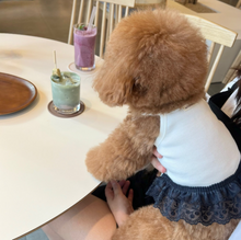 画像をギャラリービューアに読み込む, 【ah taeri pet / 予約】テンセル クロップドTシャツ
