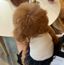 画像をギャラリービューアに読み込む, 【ah taeri pet / 予約】テンセル クロップドTシャツ
