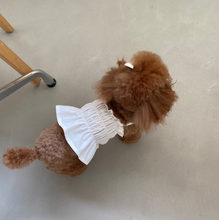 画像をギャラリービューアに読み込む, 【ah taeri pet / 予約】スモーキングビスティエトップ（2color）
